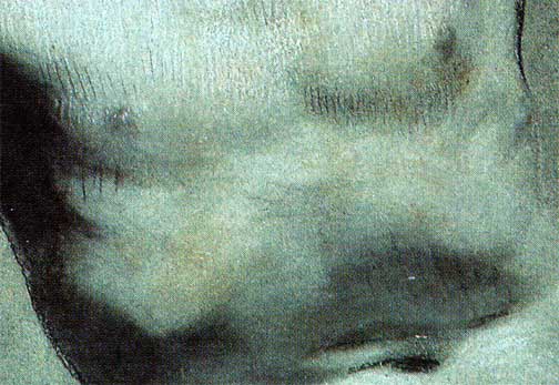 Pierre-Paul Prud'hon detail --Academie Charcoal, heightened with white chalk, on blue paper