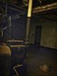 dsc01384.jpg