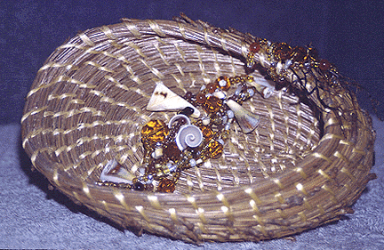 OrangeAbalone.GIF (113223 bytes)