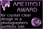 [ Amethyst Award ]