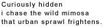 Curiously hidden