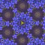 Blue Flower