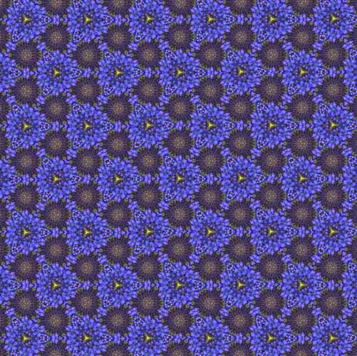 Blue Flower