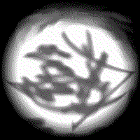 Now uploading the webanimation Kuningasj&auml;tk&auml; vauhdissa 110 Kb