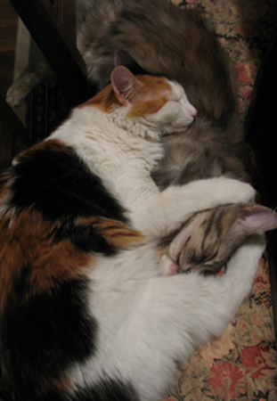 sophie&emmie-sleeping