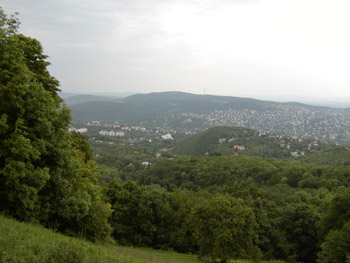 buda view8