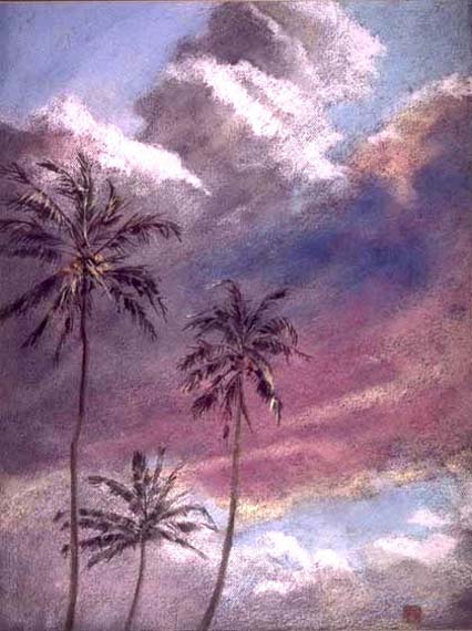 palmtrees