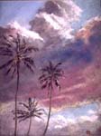 palmtrees