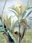 BirdsNestFern
