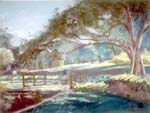 OldTreebyPond