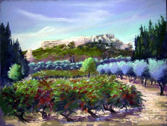 grapesoliveslesbaux
