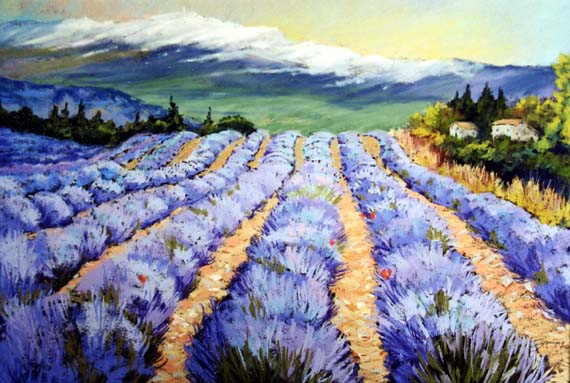 lavender