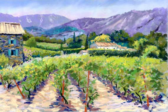 luberon-vinyard