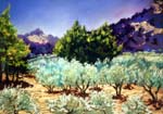 groves-and-gorge