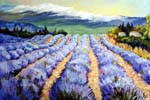 lavender