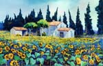 sunflowers2