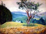 hilchenbach-harvest