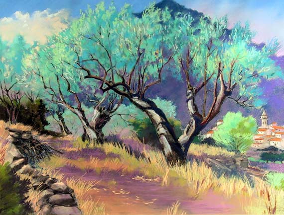 afternoon-olive-grove