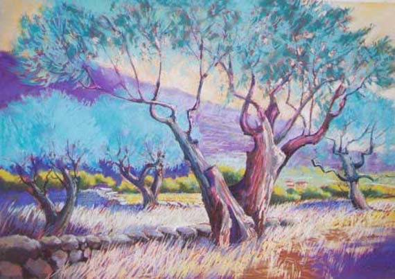 olive-grove2