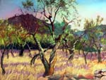 almond-grove