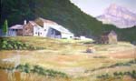 jaca-mt-farm
