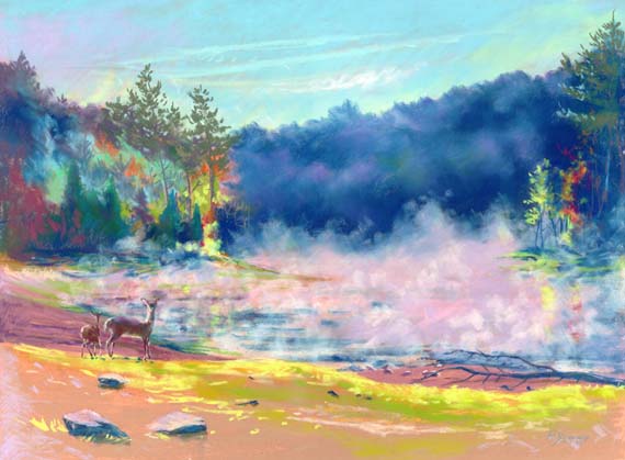 deer-at-cane-creek