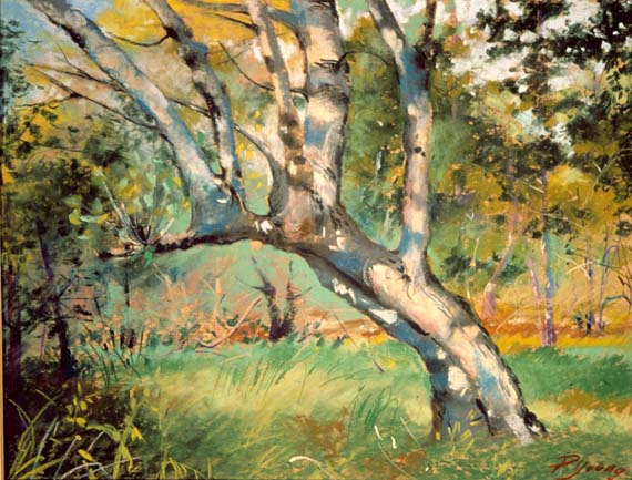 glade-tree-summer
