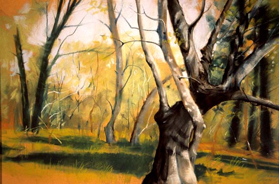glade-tree