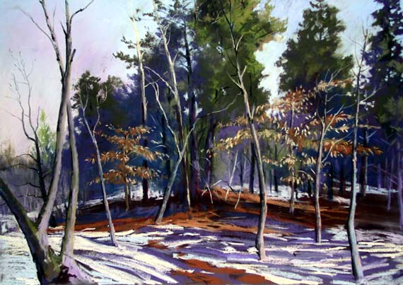 winter-rural-scene-nc