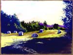 AppleMillHayField