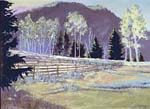 sheep-corral
