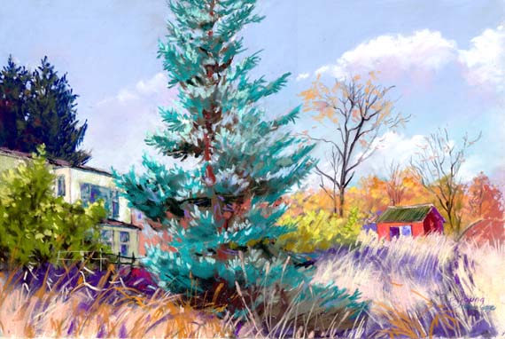 Sues-House-and-Blue-Spruce