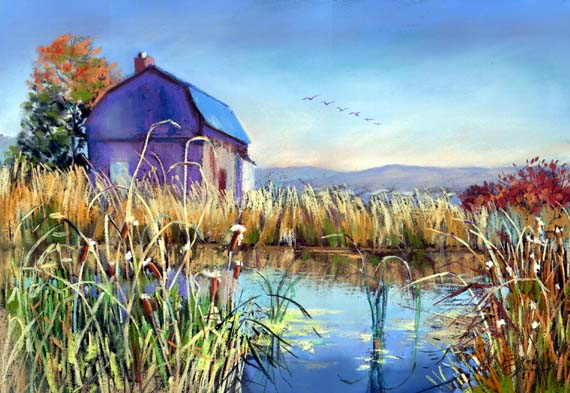 cattails