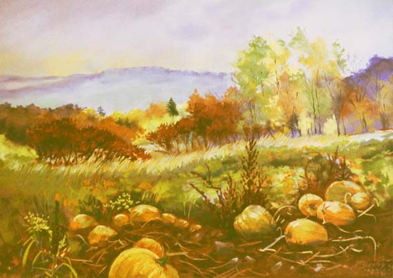 pumpkins