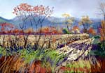 cornfield