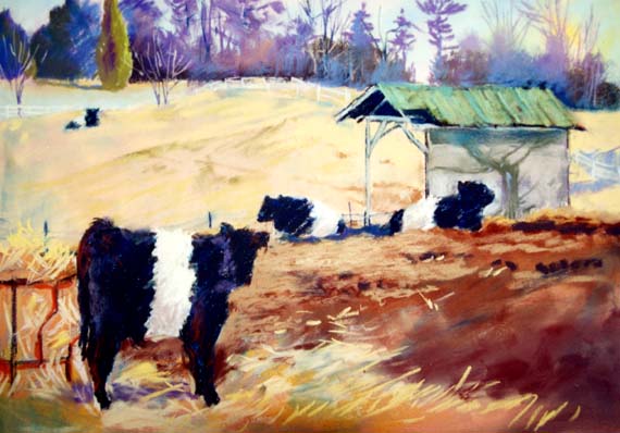 cows-fearrington