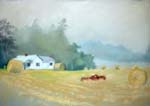foggy-summer-morning-daniel-greens-house