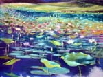 lilypond,chathamcountync