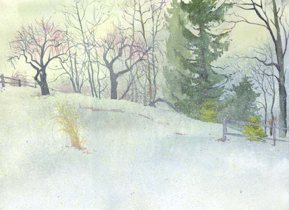 debswinter