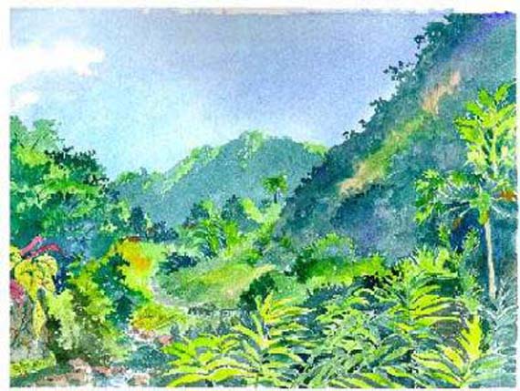 papillote-view