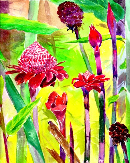 tropical-flora