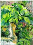 hot-springs
