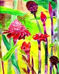 tropical-flora