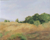 JSLandscape.gif (82503 bytes)