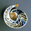 nautilusi.GIF (9890 bytes)