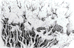 Foliage#2a.GIF (3541 bytes)