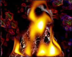 fire
