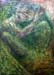 Interphotosynthesis