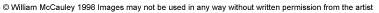 copyright.jpg