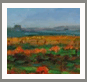 landscapes,paintings, gallery,artist,Carolyn Zaroff,fine art,galleries,oil paintings,landscape paintings,painter,Impressionists